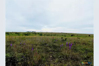 000 County Road 2109, Lampasas, TX 76550 - Photo 5