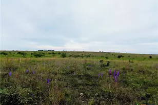 000 County Road 2109, Lampasas, TX 76550 - Photo 5