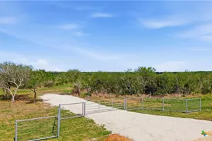 00 Franke Rd, Goliad, TX 77963 - Photo 1