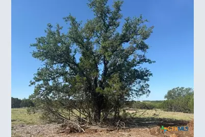 Tbd County Road 2644, Lometa, TX 76853 - Photo 19