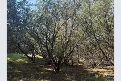 Tbd County Road 2644, Lometa, TX 76853 - Photo 21