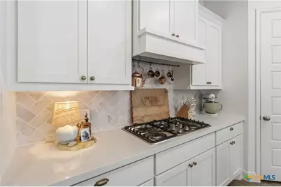 612 Vireos Street, New Braunfels, TX 78132 - Photo 17