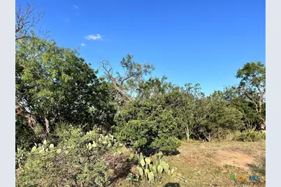 0 Cactus Trail, Kingsland, TX 78639 - Photo 3