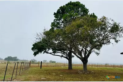 1696 E Fm 884, Yorktown, TX 78164 - Photo 7