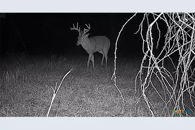 2427 S Fm 234, Edna, TX 77957 - Photo 25