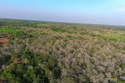 3223 Old Kelley Road, Lockhart, TX 78644 - Photo 31