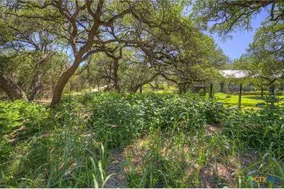 130 Lazy Leaf, Wimberley, TX 78676 - Photo 5