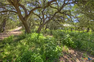 130 Lazy Leaf, Wimberley, TX 78676 - Photo 1