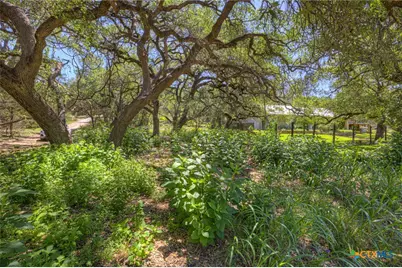 130 Lazy Leaf, Wimberley, TX 78676 - Photo 3