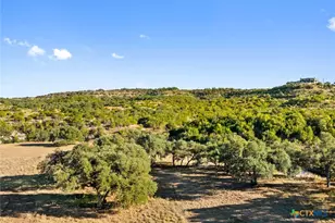 [Address not provided], Dripping Springs, TX 78620 - Photo 17
