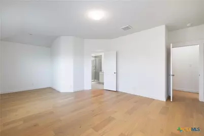 3642 Twin Dish Way, New Braunfels, TX 78130 - Photo 13