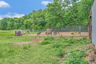 1176 Blue Cut Rd, McGregor, TX 76657 - Photo 25