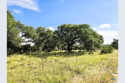 100 Reavis Drive, Kempner, TX 76539 - Photo 25