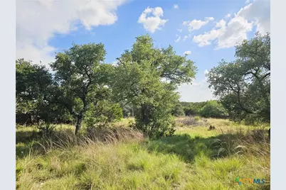 100 Reavis Drive, Kempner, TX 76539 - Photo 15