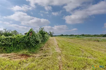 51 County Road 471, Nixon, TX 78140 - Photo 3