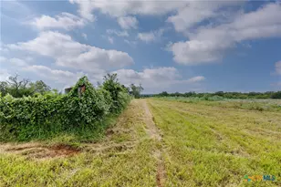 51 County Rd 471, Nixon, TX 78140 - Photo 3