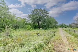 51 County Rd 471, Nixon, TX 78140 - Photo 7