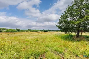 51 County Rd 471, Nixon, TX 78140 - Photo 5