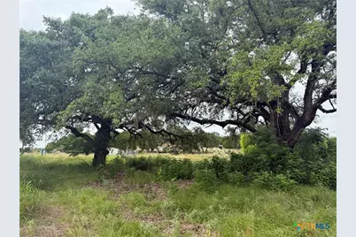 16350 Cedar Valley Road, Salado, TX 76571 - Photo 3