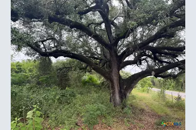 16350 Cedar Valley Road, Salado, TX 76571 - Photo 41