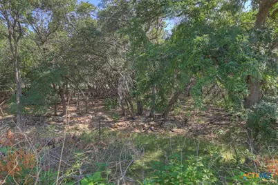3055 Lakeview Drive, Canyon Lake, TX 78133 - Photo 33