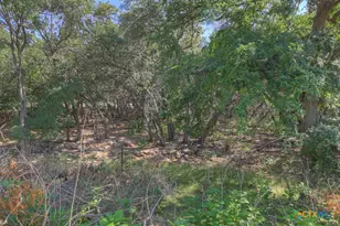 3055 Lakeview Dr, Canyon Lake, TX 78133 - Photo 33