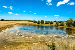 2445 Fm 116, Gatesville, TX 76528 - Photo 41