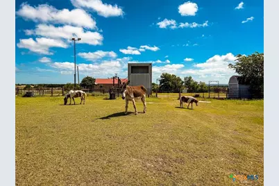 Tbd Fm 116, Gatesville, TX 76528 - Photo 47