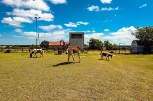 Tbd Fm 116, Gatesville, TX 76528 - Photo 47