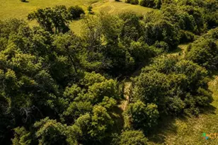 2445 Fm 116, Gatesville, TX 76528 - Photo 23