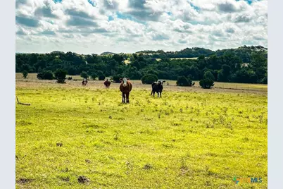 Tbd Fm 116, Gatesville, TX 76528 - Photo 17