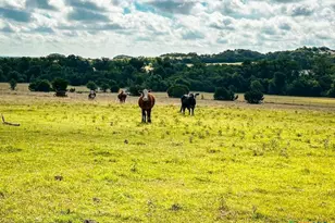 Tbd Fm 116, Gatesville, TX 76528 - Photo 17