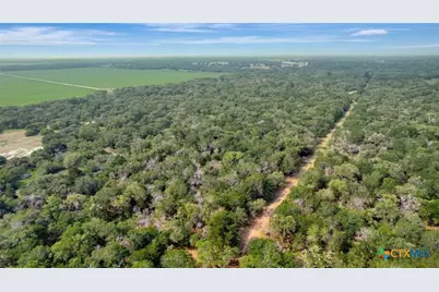 000 Fm 822, Edna, TX 77957 - Photo 3