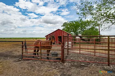 1414 Branch Road, Seguin, TX 78155 - Photo 19