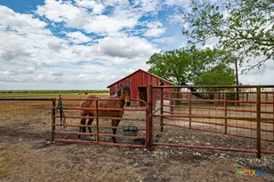 1414 Branch Rd, Seguin, TX 78155 - Photo 19