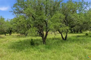 1360 W US Hwy 84, Mullin, TX 76864 - Photo 27