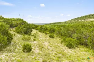 11551 Ranch Rd 12, Wimberley, TX 78676 - Photo 35