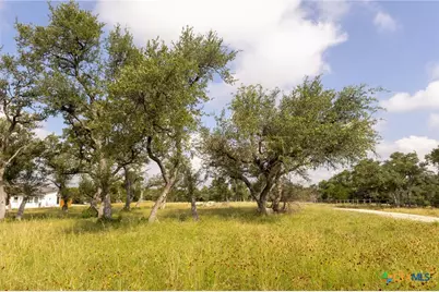 1907 Falconwood Drive, San Marcos, TX 78666 - Photo 9