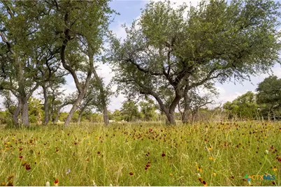 1907 Falconwood Drive, San Marcos, TX 78666 - Photo 11