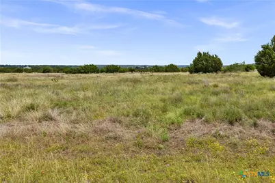 Lot 65 Three Creeks Drive, Bertram, TX 78605 - Photo 9