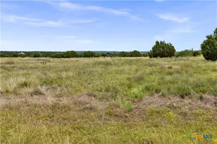 Lot 65 Three Creeks Dr, Bertram, TX 78605 - Photo 9