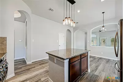 1441 Rainbow Parke Drive, Round Rock, TX 78665 - Photo 9