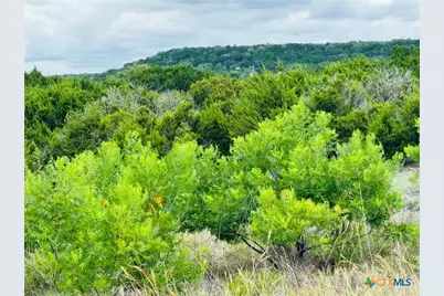 1780 County Road 147, Gatesville, TX 76528 - Photo 9