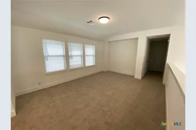 1032 Easy Gruene, New Braunfels, TX 78130 - Photo 21