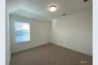 1032 Easy Gruene, New Braunfels, TX 78130 - Photo 29