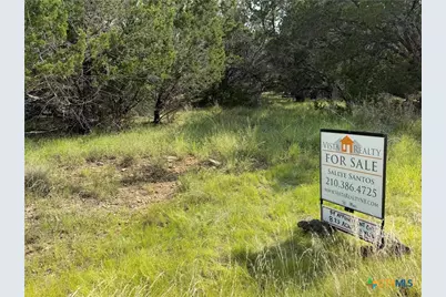 1251 Limerick Lane, Canyon Lake, TX 78133 - Photo 5
