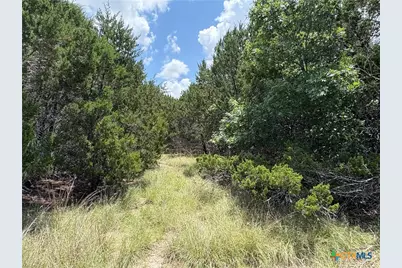 317 County Road 3062, Lampasas, TX 76550 - Photo 5