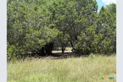 317 County Road 3062, Lampasas, TX 76550 - Photo 3