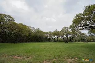 426 Mill Run, New Braunfels, TX 78132 - Photo 31