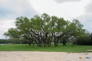 426 Mill Run, New Braunfels, TX 78132 - Photo 33